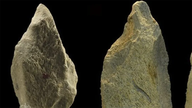 Hallan la herramienta de hueso de elefante más antigua de Europa, de hace 480.000 años