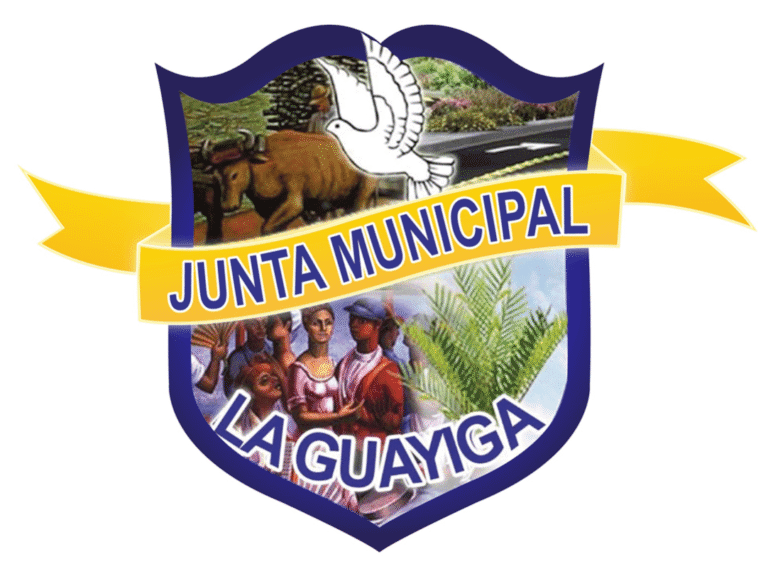 ¡¡LÍO ENTRE LOS REGIDORES DE LA GUAYIGA Y LOS DE PEDRO BRAND!!