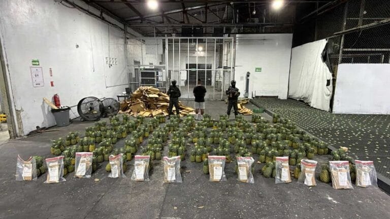 ¡¡PIÑAS RELLENAS!! (Hallan cocaína en cargamento que sería enviado a Afganistán)