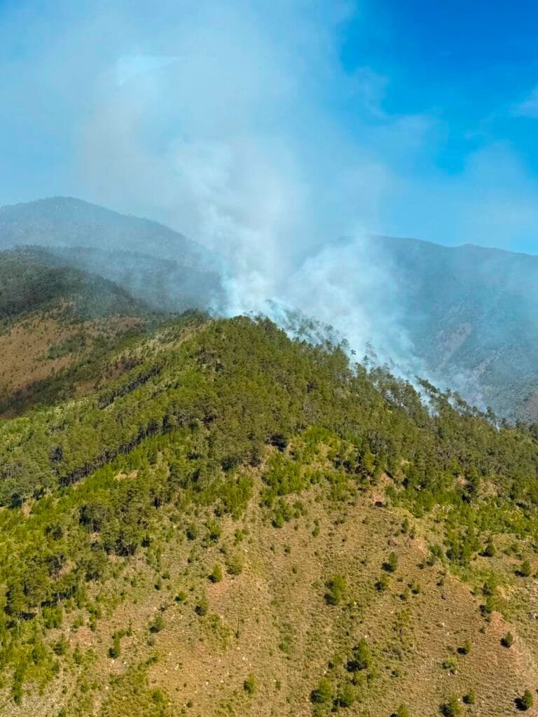 Medio Ambiente controla incendio forestal en el Valle del Tetero tras rápida intervención interinstitucional